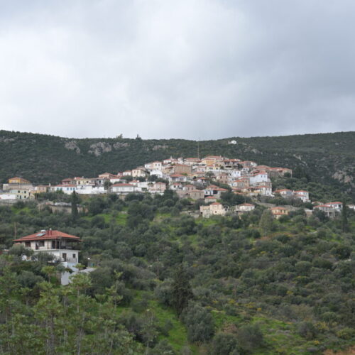Πραγματευτή