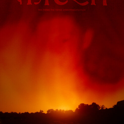 Μίτση / Mitch