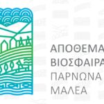 Ακαδημία Πάρνωνα